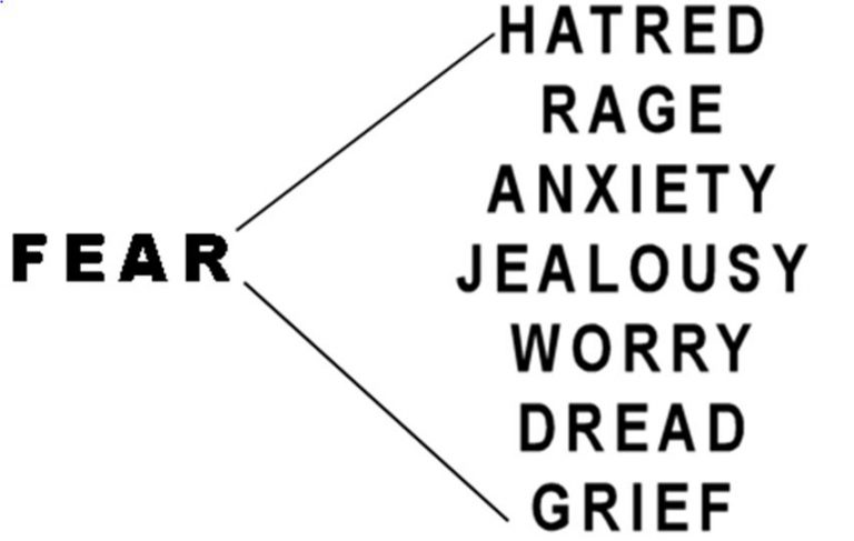 Have you had enough of being sick? Time to connect with your emotions!  Part 3