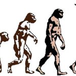 mans-evolution