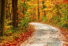 How to release muscular tension