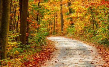 How to release muscular tension