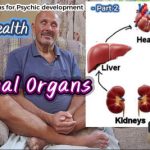 20. meditation internal organs resized